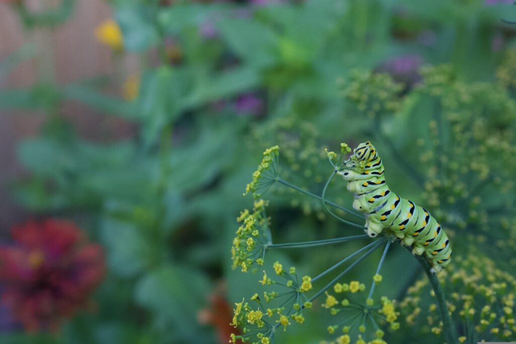 Cuando el discurso ya no basta: el momento decisivo para proteger la biodiversidad