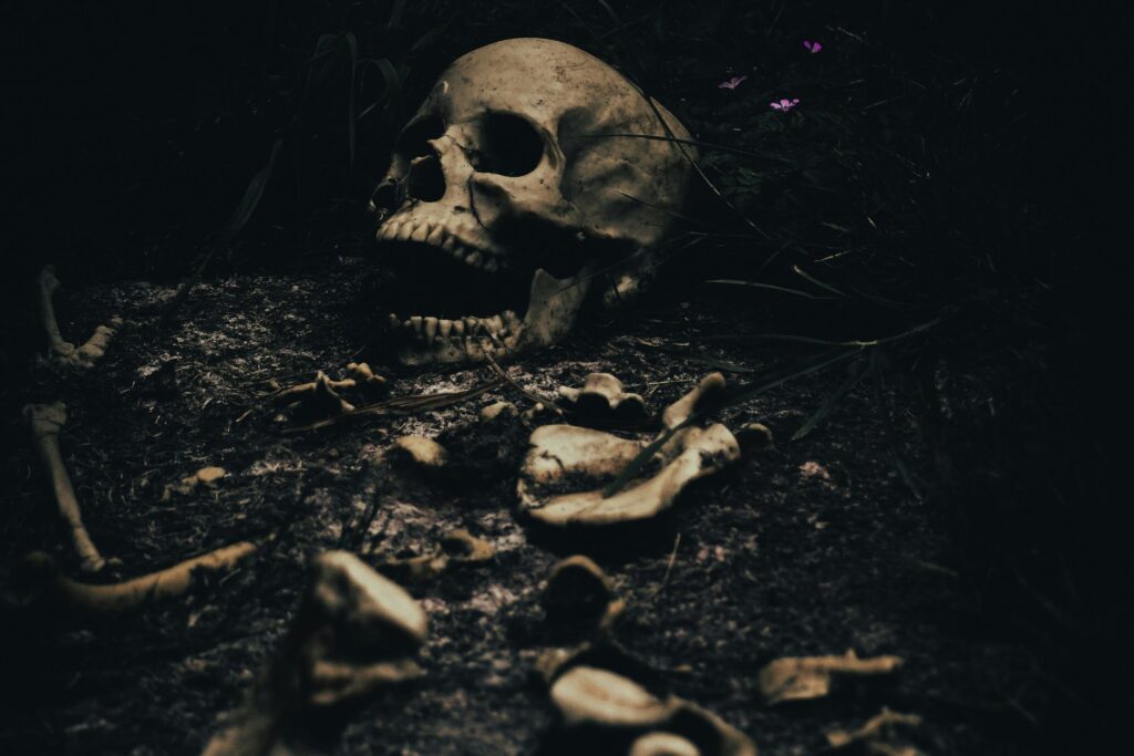 Esqueletos Enterrados En Centro Comercial En Gloucester