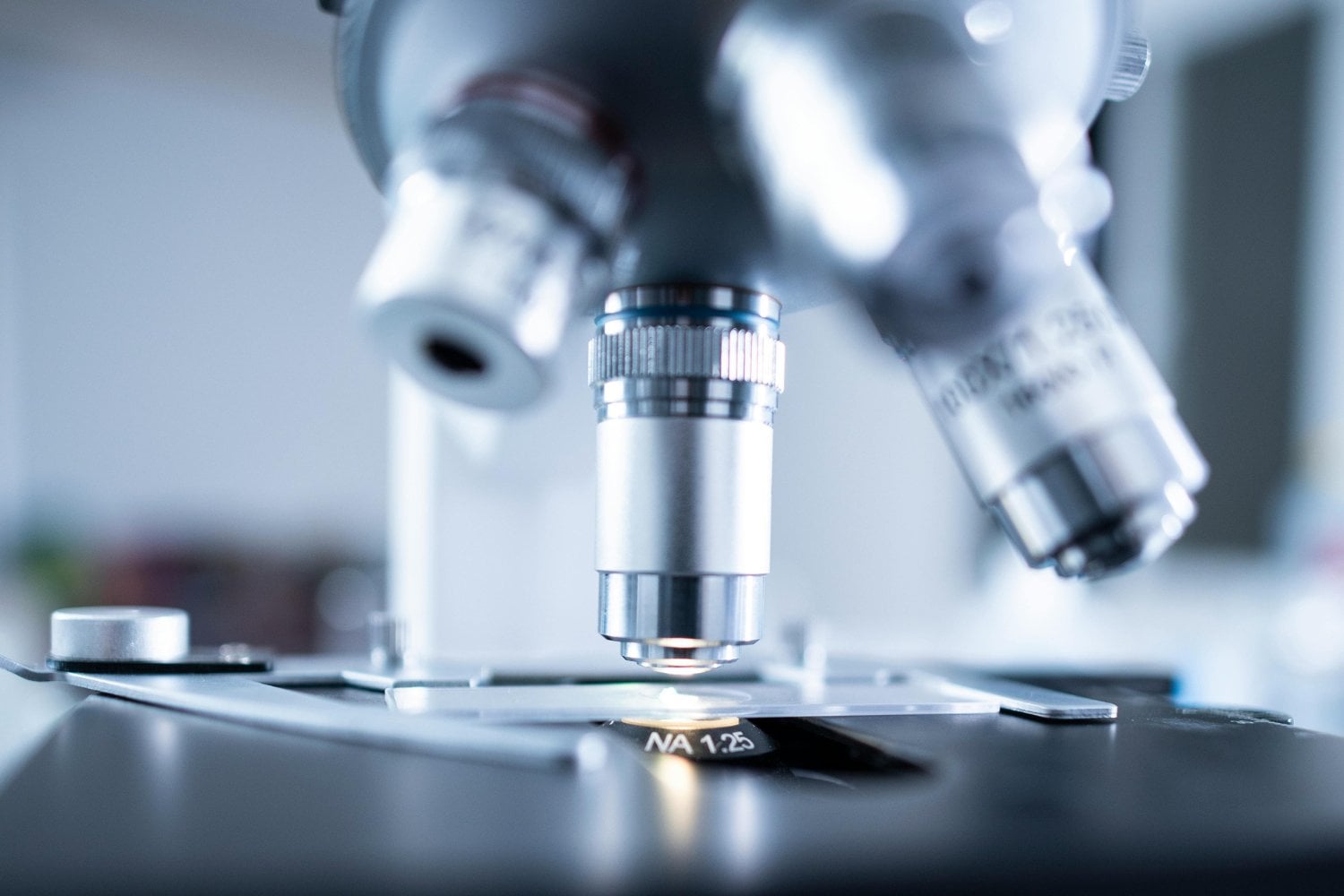 La Desregulacion En La Modificacion De Adn