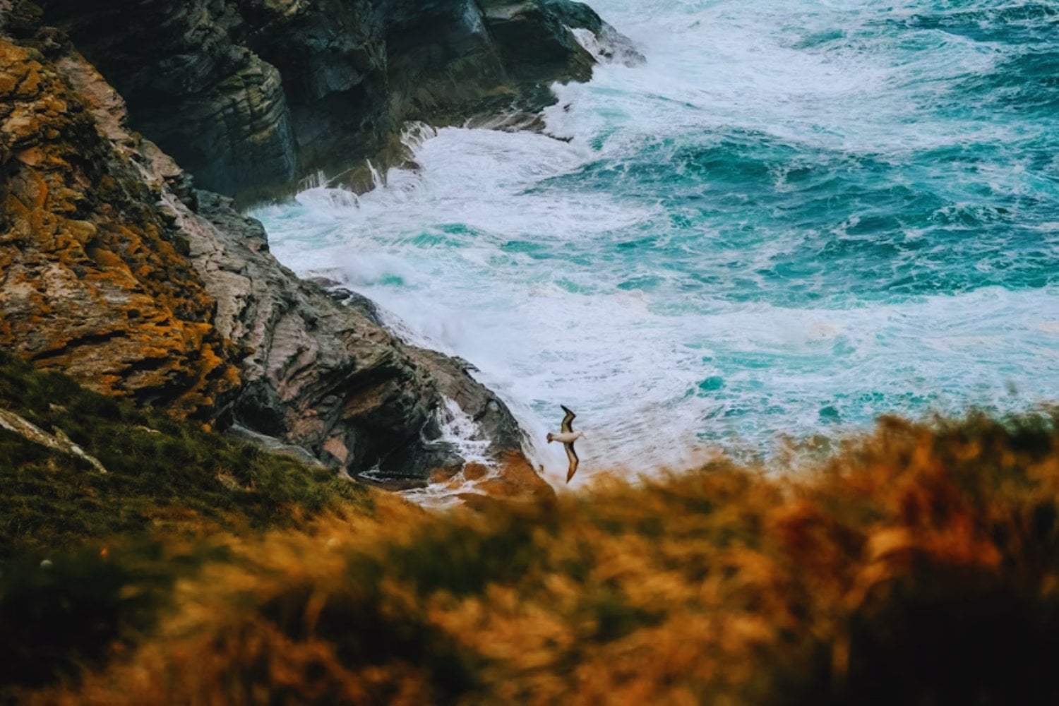 Un cráter olvidado bajo el mar: la anomalía en Malvinas que reescribe una extinción masiva