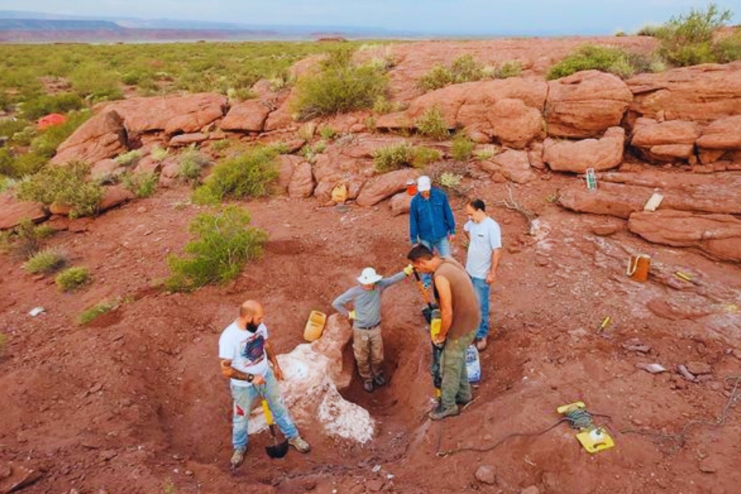 Un gigante sin dueño: la nueva especie de dinosaurio que reescribe la historia de la Patagonia