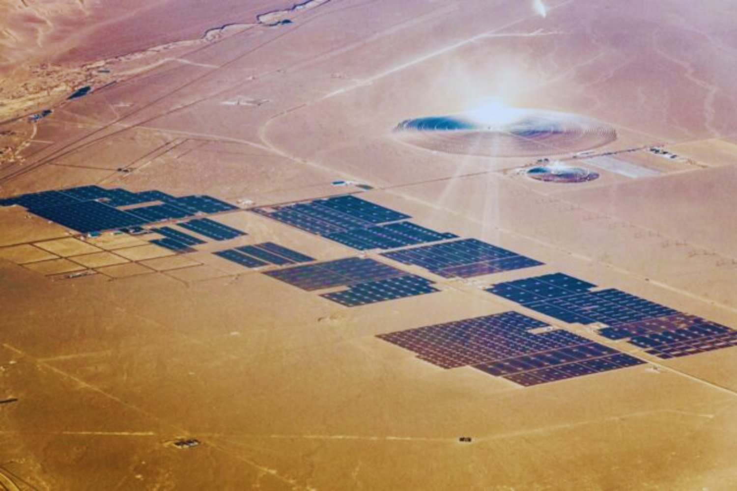 La promesa que se fundió bajo el sol: el megaproyecto solar que terminó devorando aves y millones