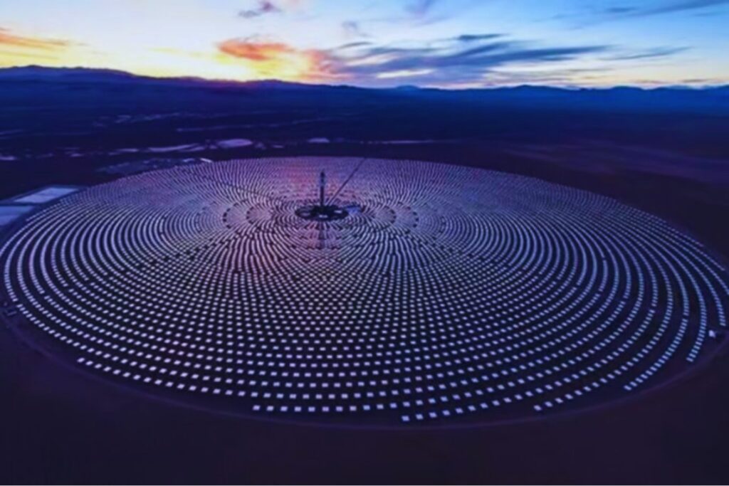 La promesa que se fundió bajo el sol: el megaproyecto solar que terminó devorando aves y millones