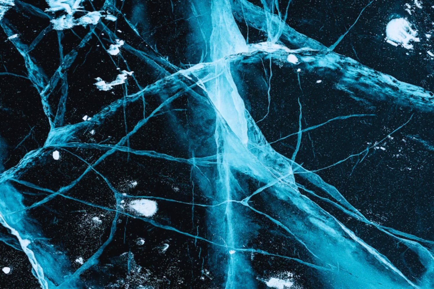 Cerebros conectados: neurocientíficos avanzan en la transmisión de pensamientos entre personas