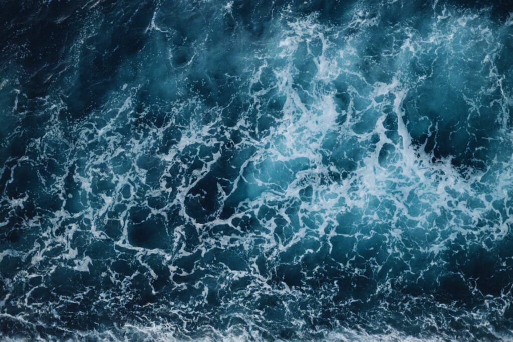 Un secreto bajo las olas: el hallazgo en el mar argentino que podría alimentar al planeta por milenios