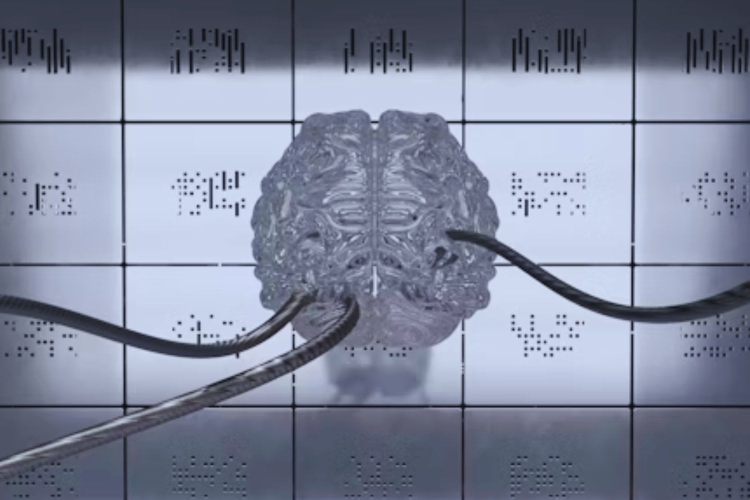 Cerebros conectados: neurocientíficos avanzan en la transmisión de pensamientos entre personas