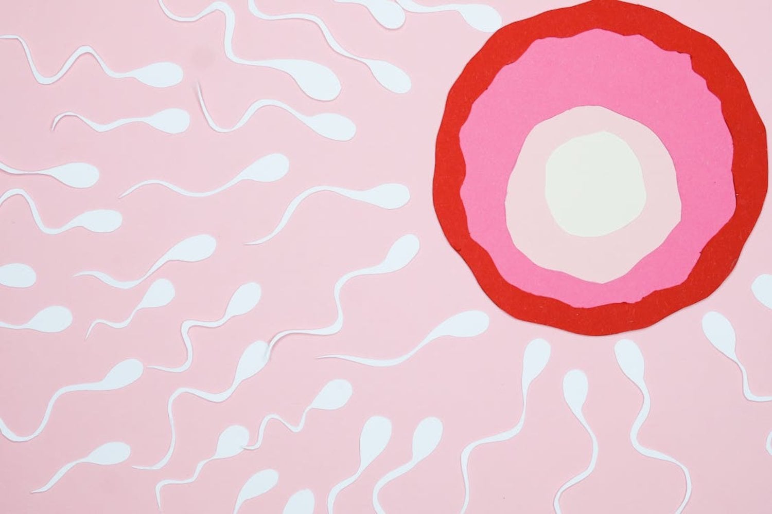 Crean embriones sin óvulo ni esperma: el avance británico que sacude la biología moderna