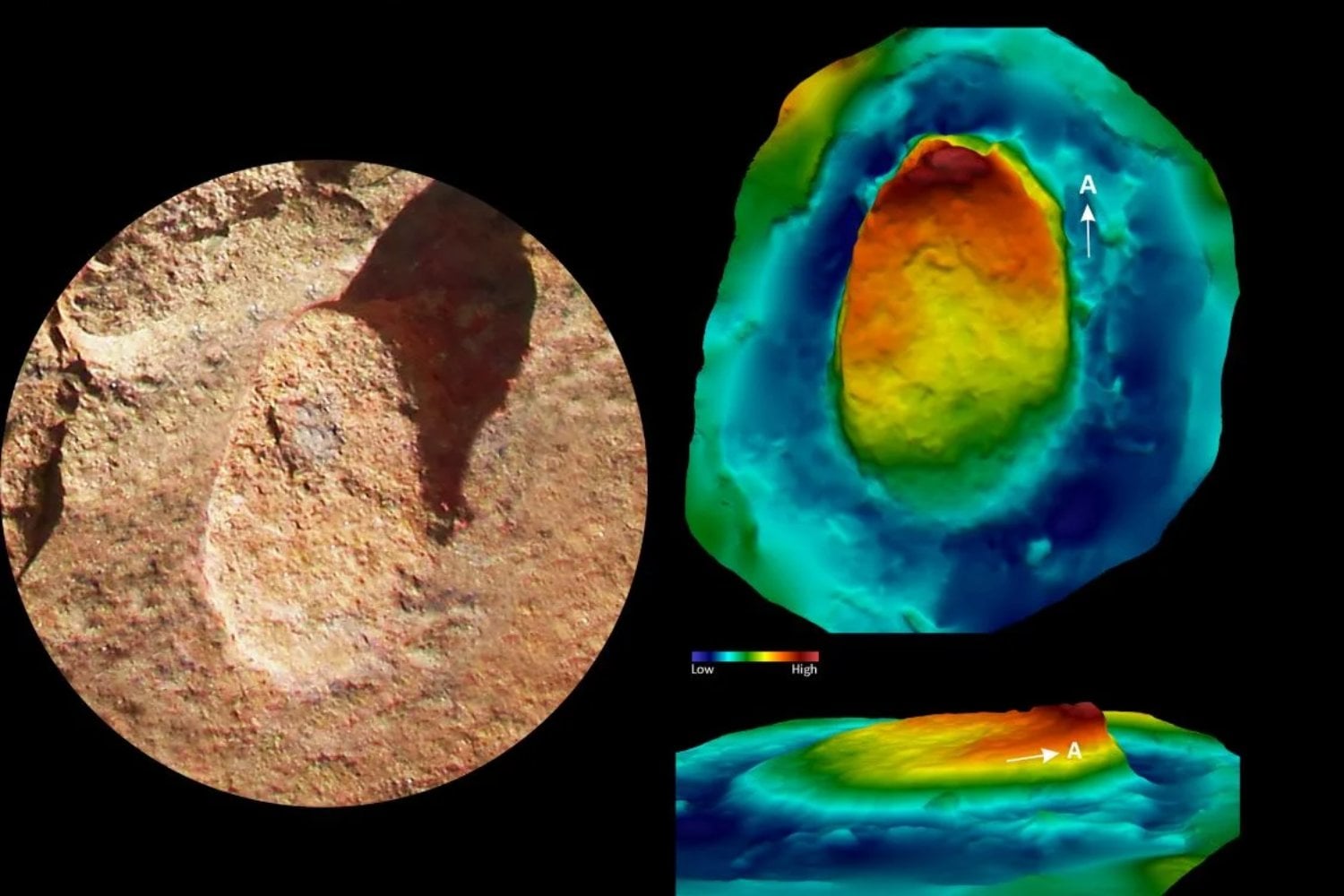Una huella en el tiempo revela el secreto social de mamíferos extintos hace 10 millones de años