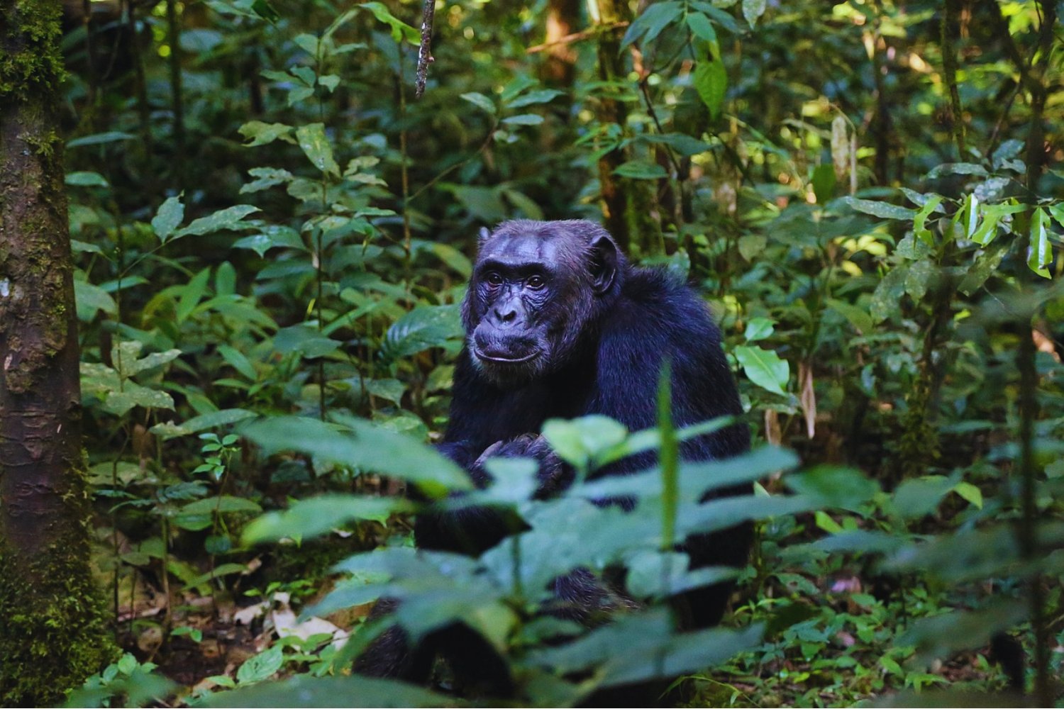 Los dejaron solos en una isla: años después, lo que encontraron conmovió al mundo
