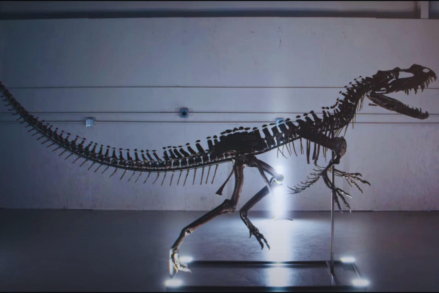 Sotheby’s subastará el mayor meteorito marciano hallado en la Tierra y un esqueleto jurásico
