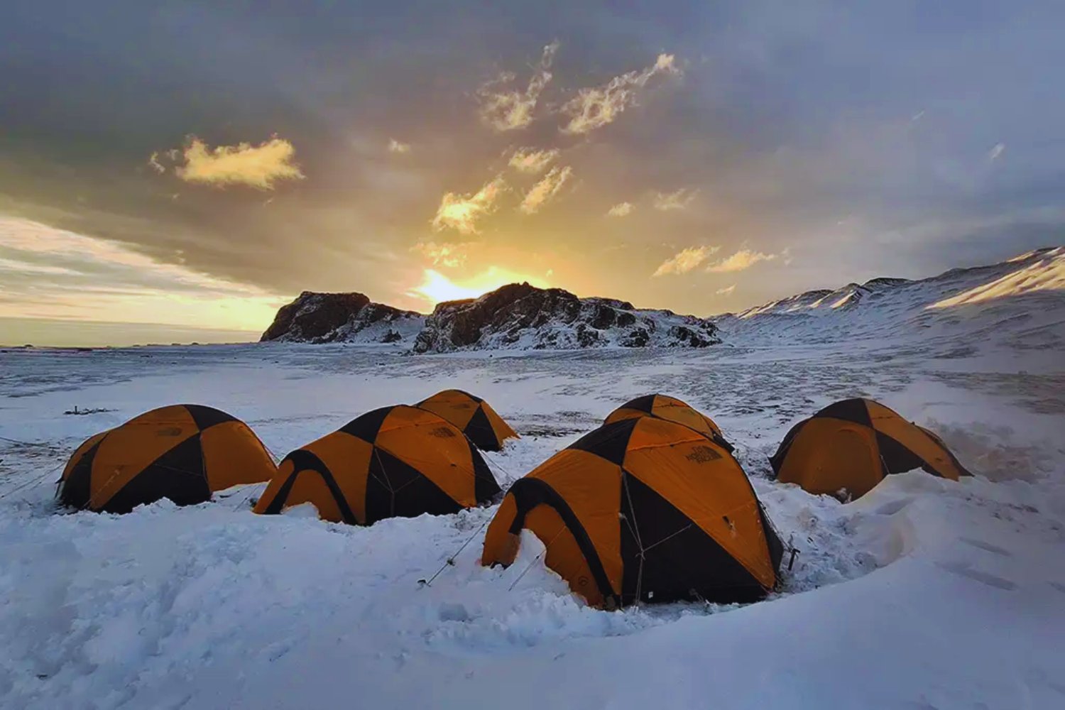 Lo que encontró este científico brasileño en la Antártida podría cambiar lo que sabemos sobre los hongos