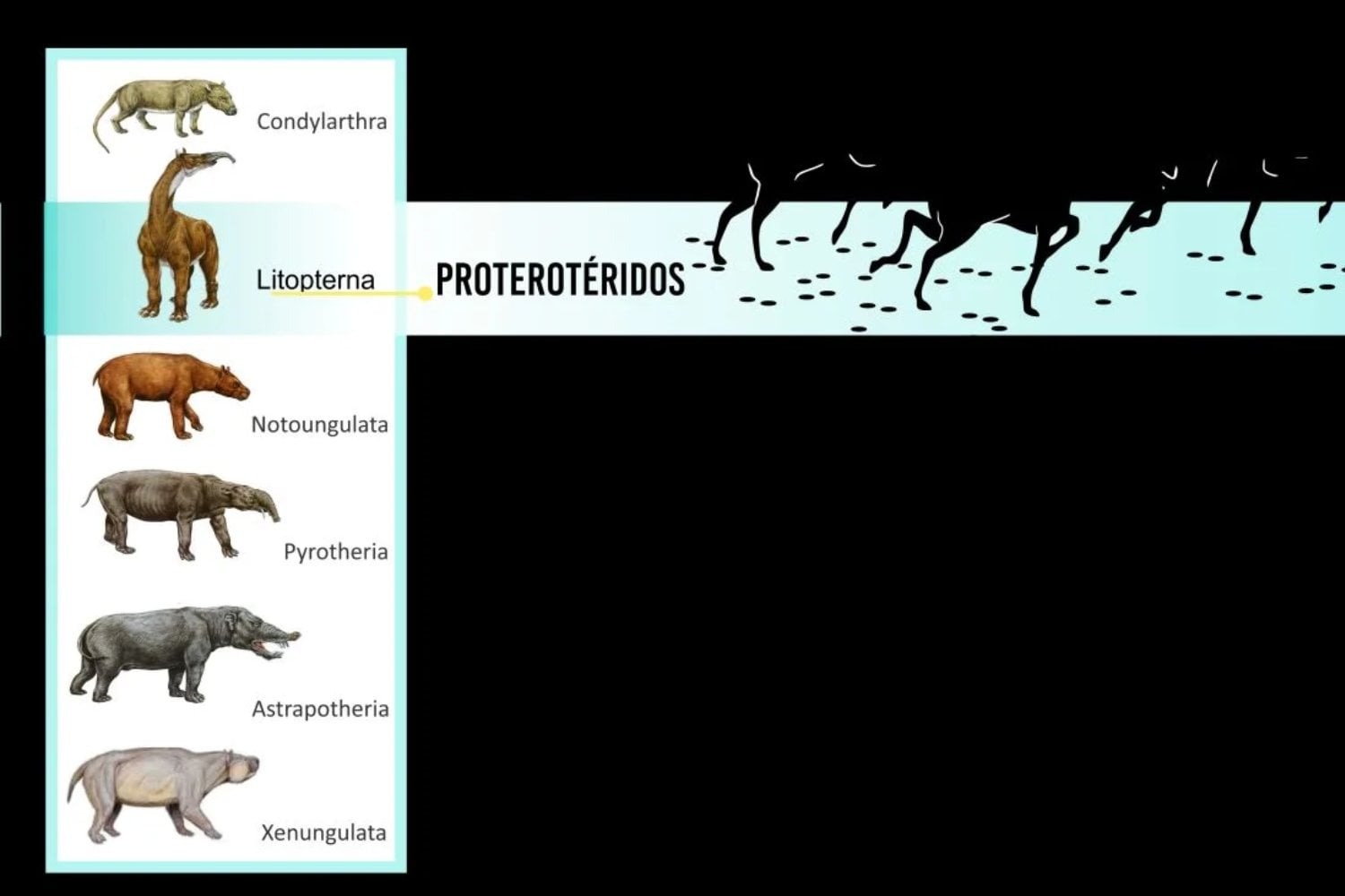Una huella en el tiempo revela el secreto social de mamíferos extintos hace 10 millones de años