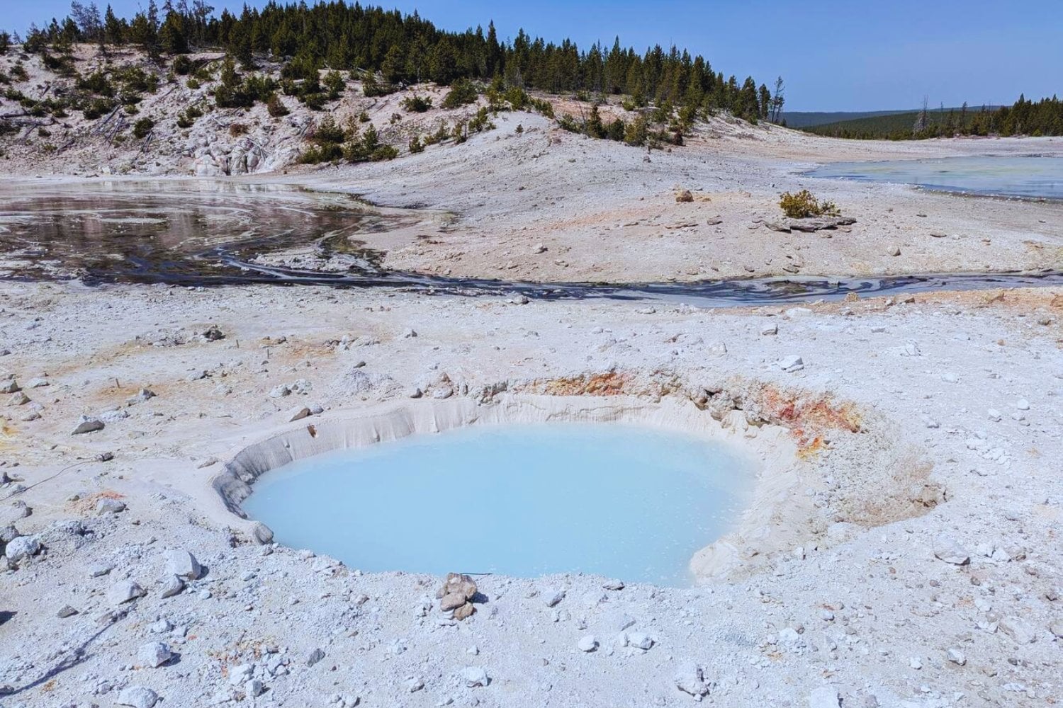 Un cráter que no existía en otoño aparece en Yellowstone y deja una sola explicación posible