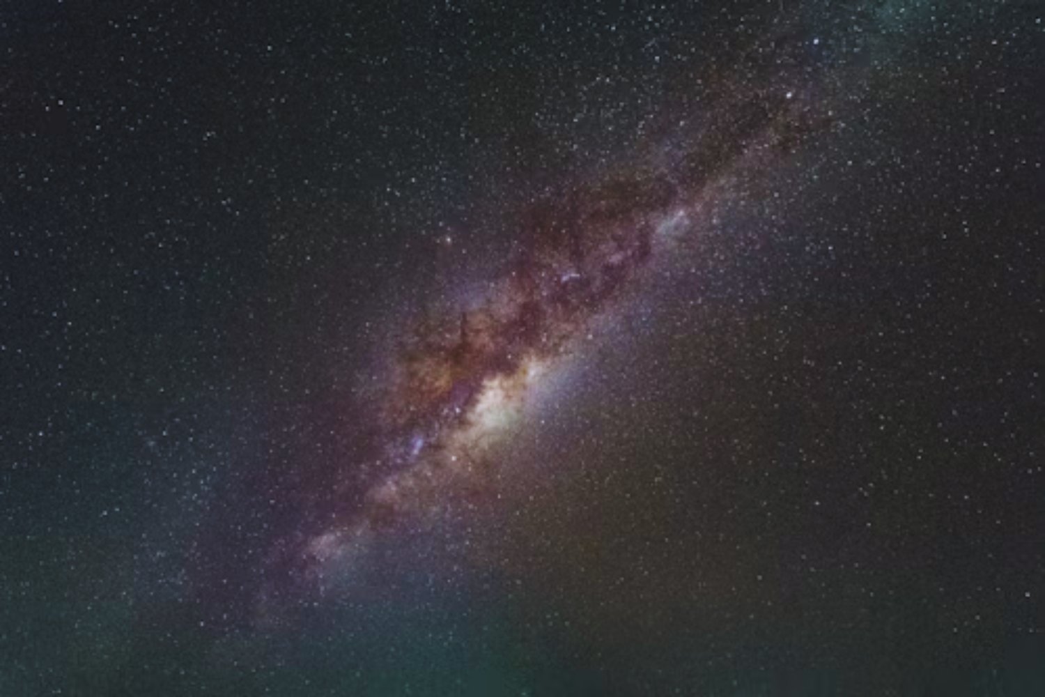 Un insecto que lee las estrellas: el primer invertebrado capaz de orientarse con la Vía Láctea
