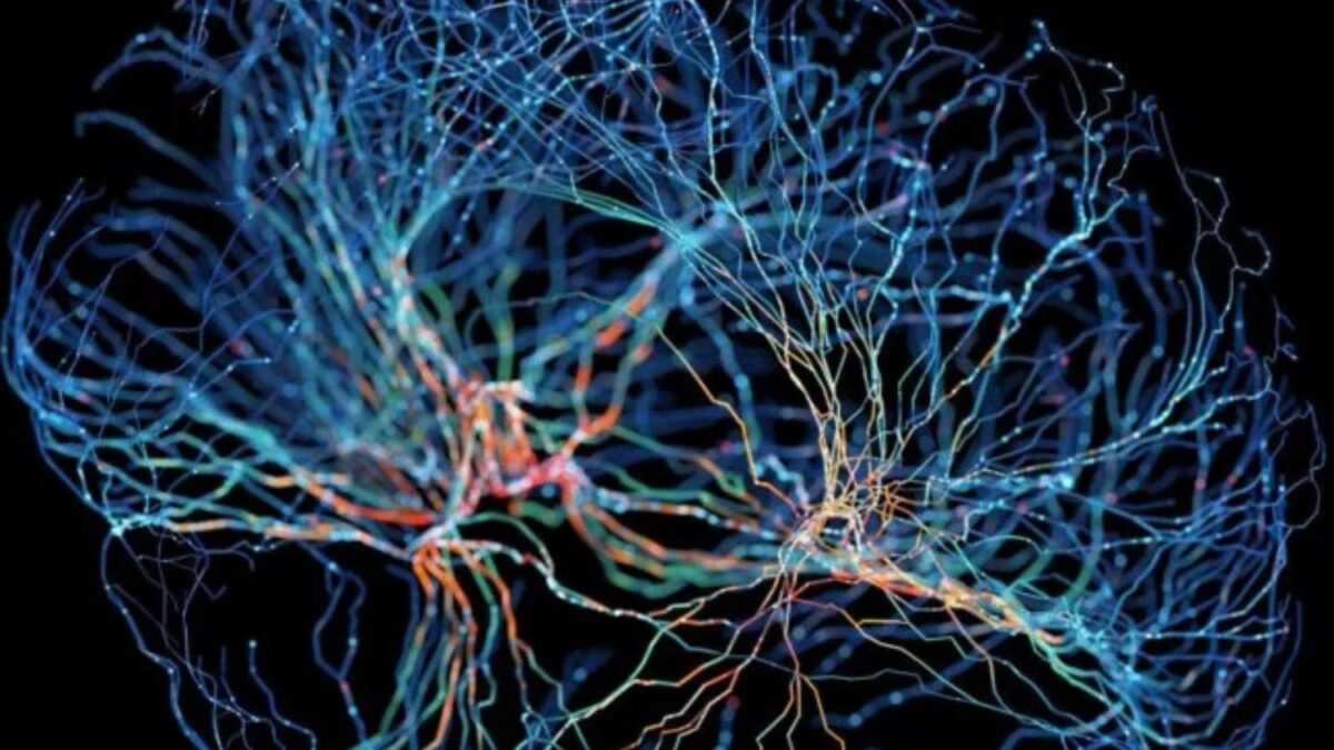 故人の記憶は抽出できますか？これが神経科学者が反応したものです