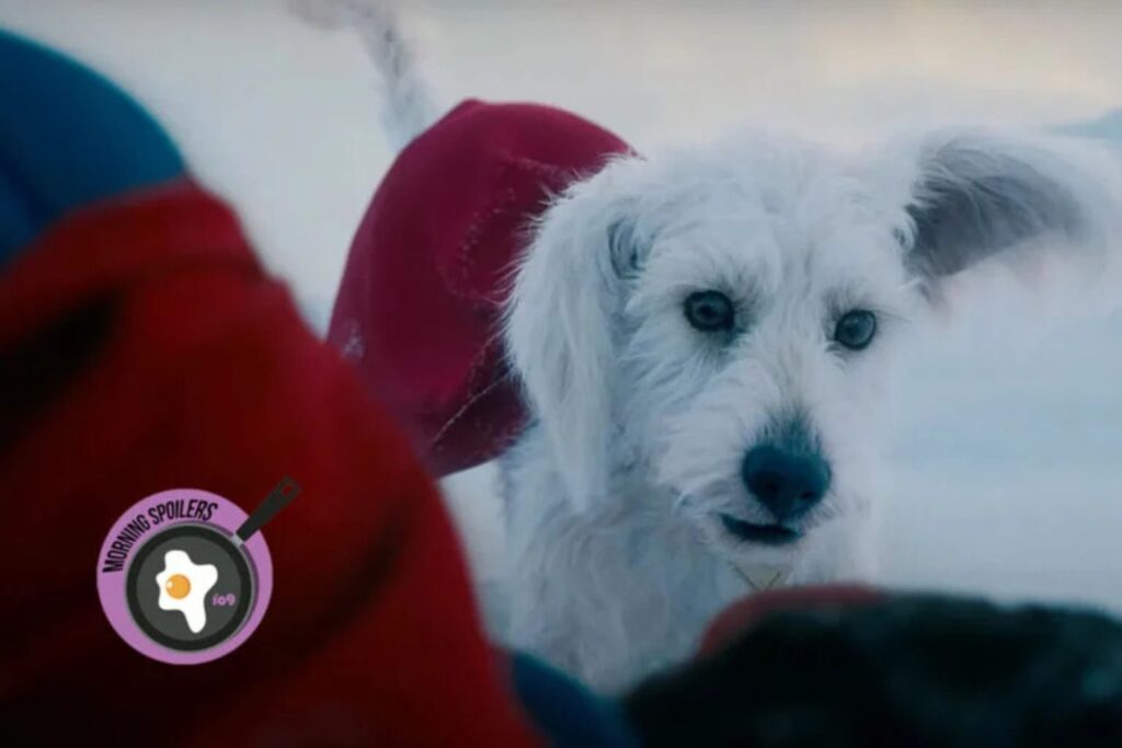 Diseño Sin Título 2025 07 03t195149.550