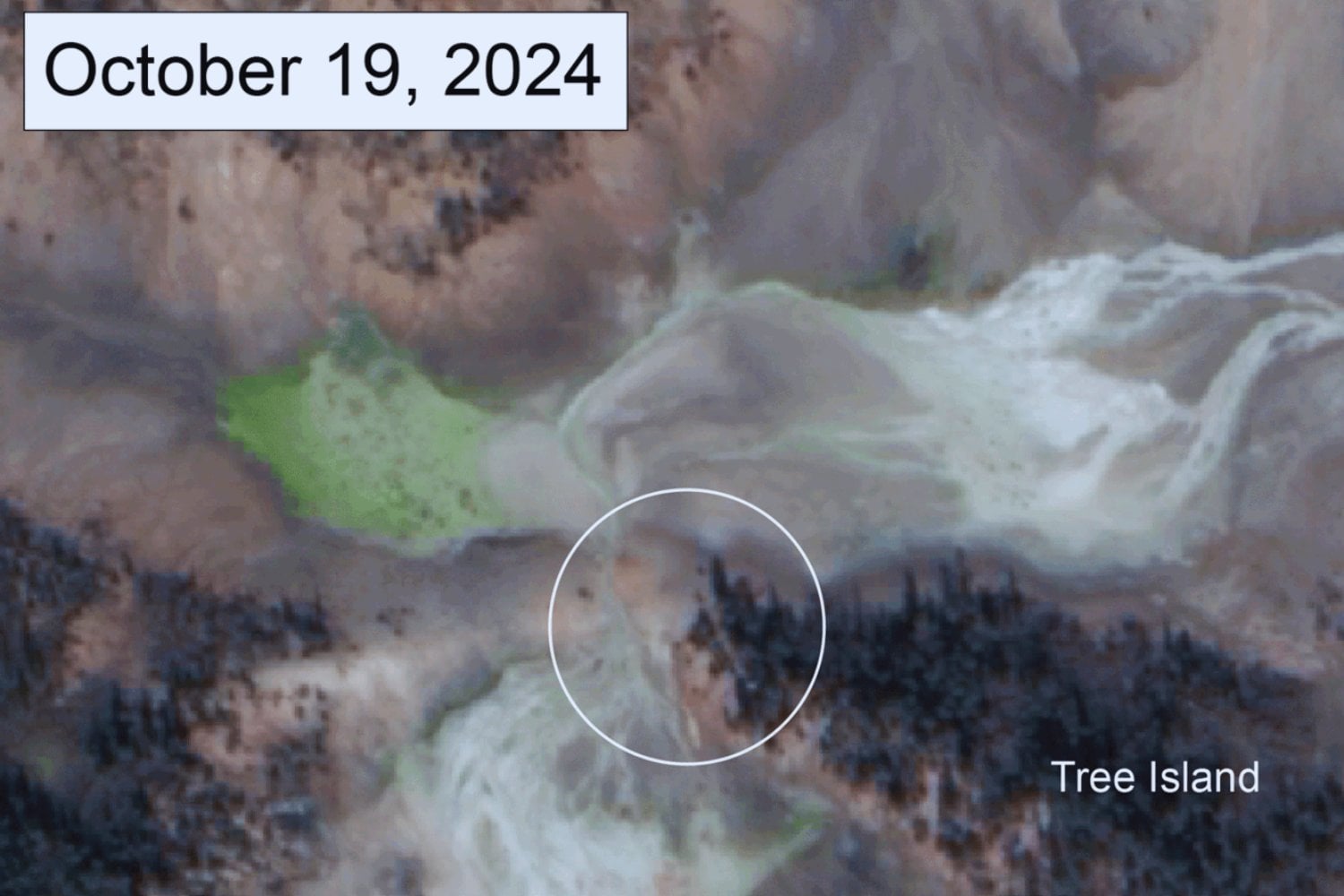 Un cráter que no existía en otoño aparece en Yellowstone y deja una sola explicación posible