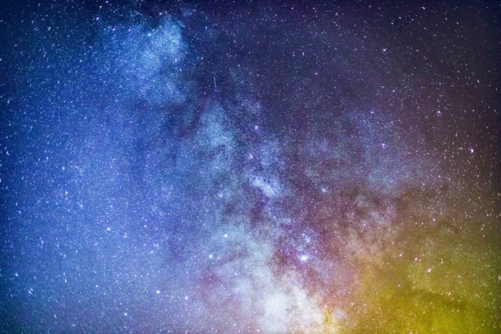 Un insecto que lee las estrellas: el primer invertebrado capaz de orientarse con la Vía Láctea