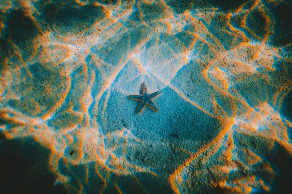 El océano profundo revela su historia secreta: hallan conexiones genéticas que reescriben la evolución marina