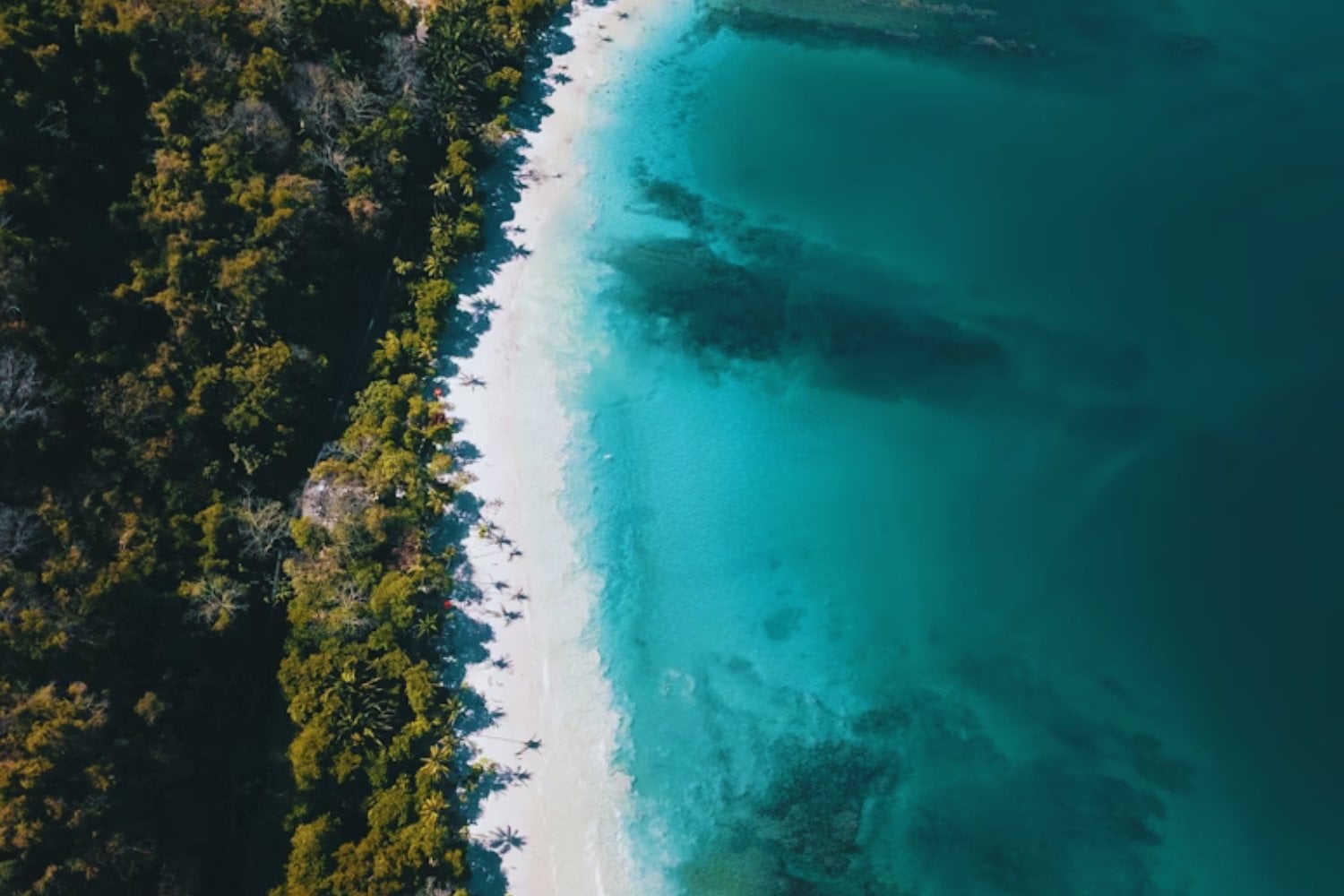 Costa Rica, el país que transforma cada viaje en una experiencia única