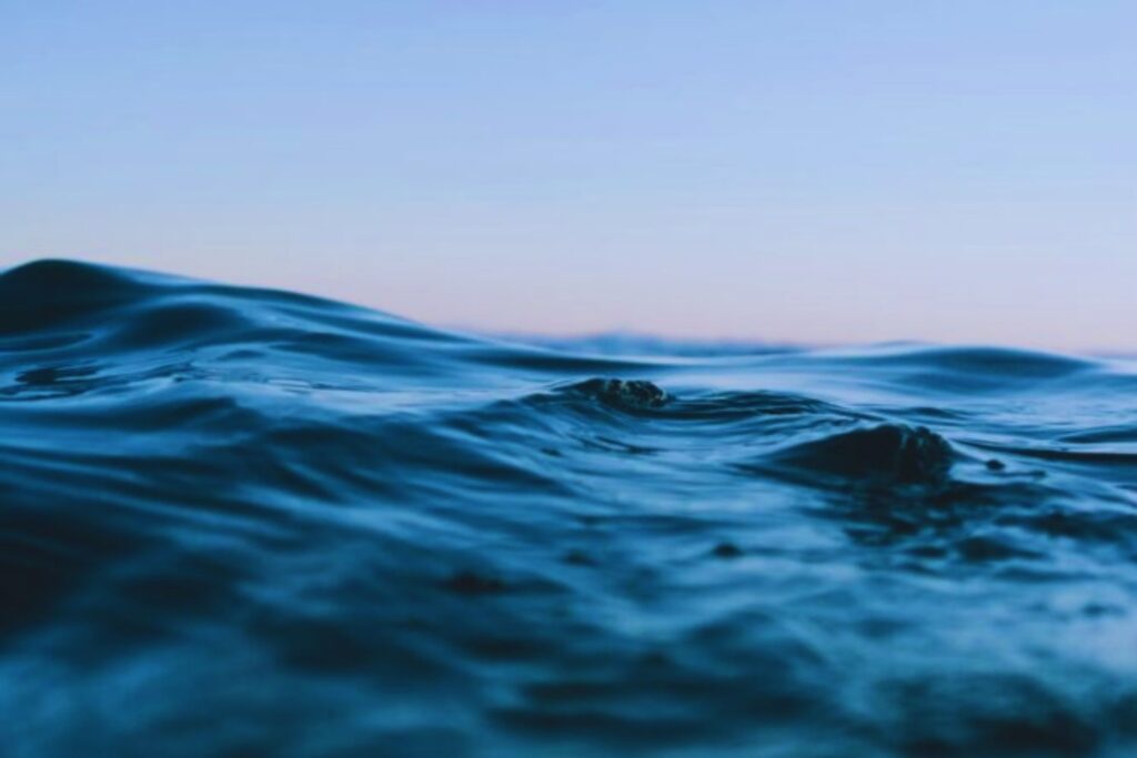 Alerta en el Mediterráneo: ¿qué está causando los extraños avistamientos y varamientos de mantarrayas?