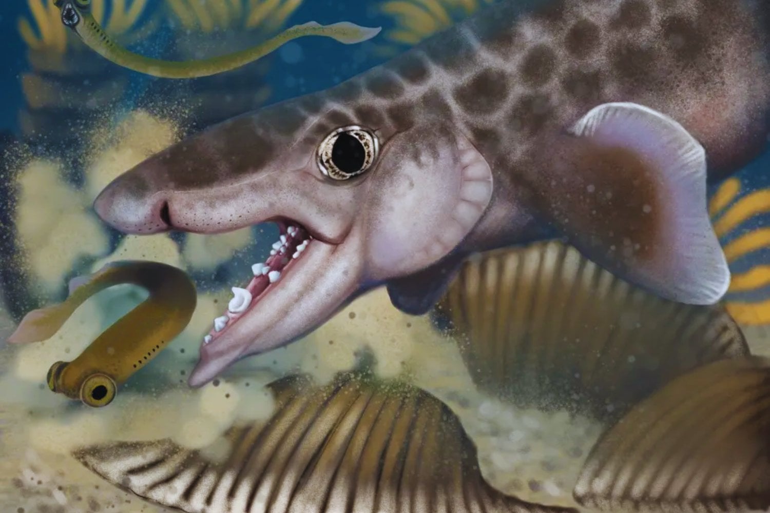 El tiburón perdido en el tiempo: el fósil de 340 millones de años hallado en las profundidades de Mammoth Cave