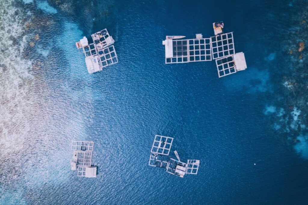 La ambición de China por los océanos: ¿energía limpia o control global?