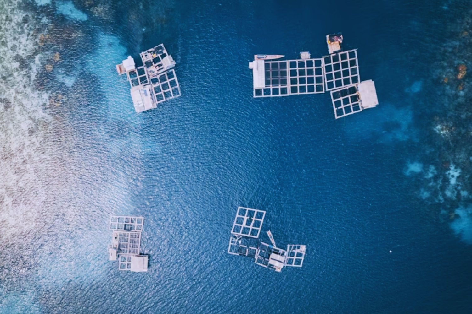 La ambición de China por los océanos: ¿energía limpia o control global?