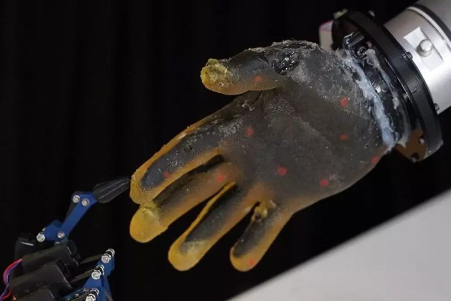 La piel que siente: un avance tecnológico acerca a los robots a nuestra sensibilidad humana