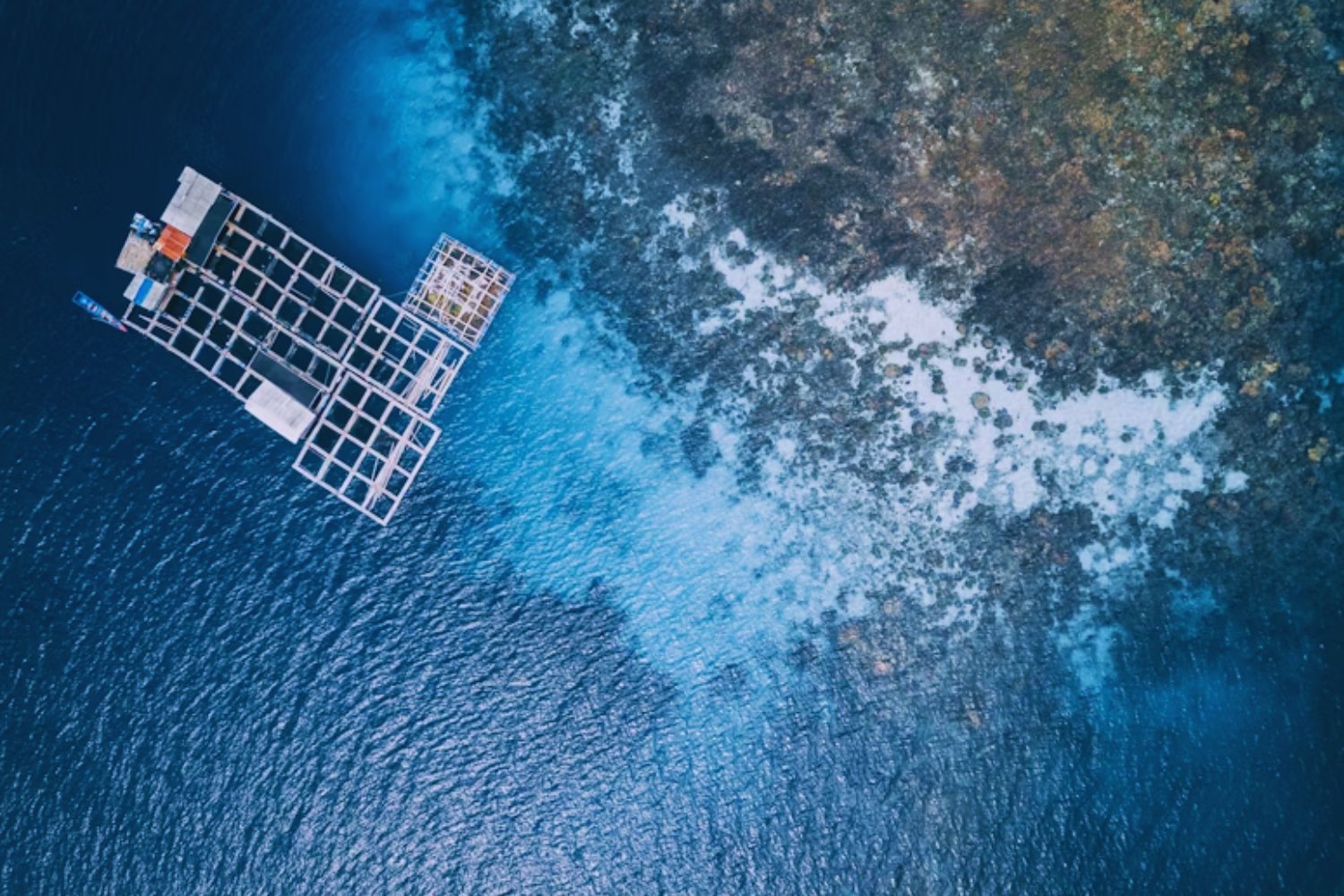 La ambición de China por los océanos: ¿energía limpia o control global?