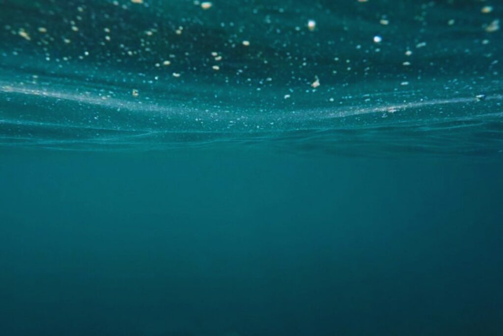 Lo que descubrieron bajo el mar cambiará cómo entendemos la contaminación plástica