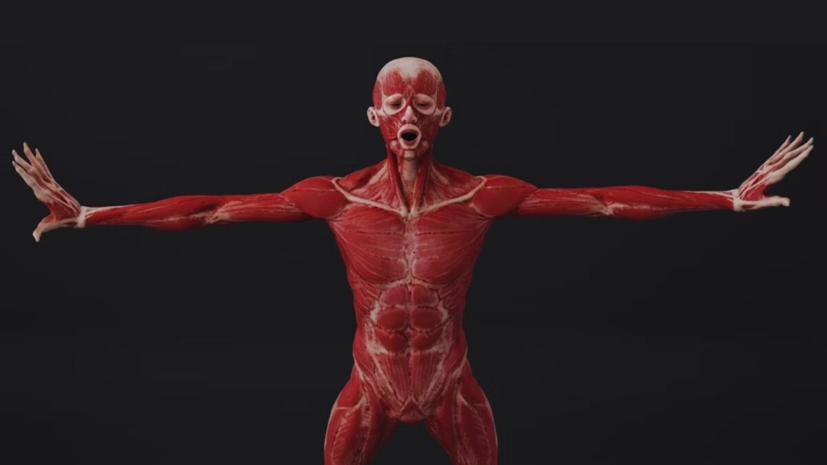 Partes del cuerpo humano que siguen desconcertando a la evolución. La ciencia aún no puede explicar por qué tenemos mentón ni qué cuentan nuestros cuerpos sobre el pasado humano