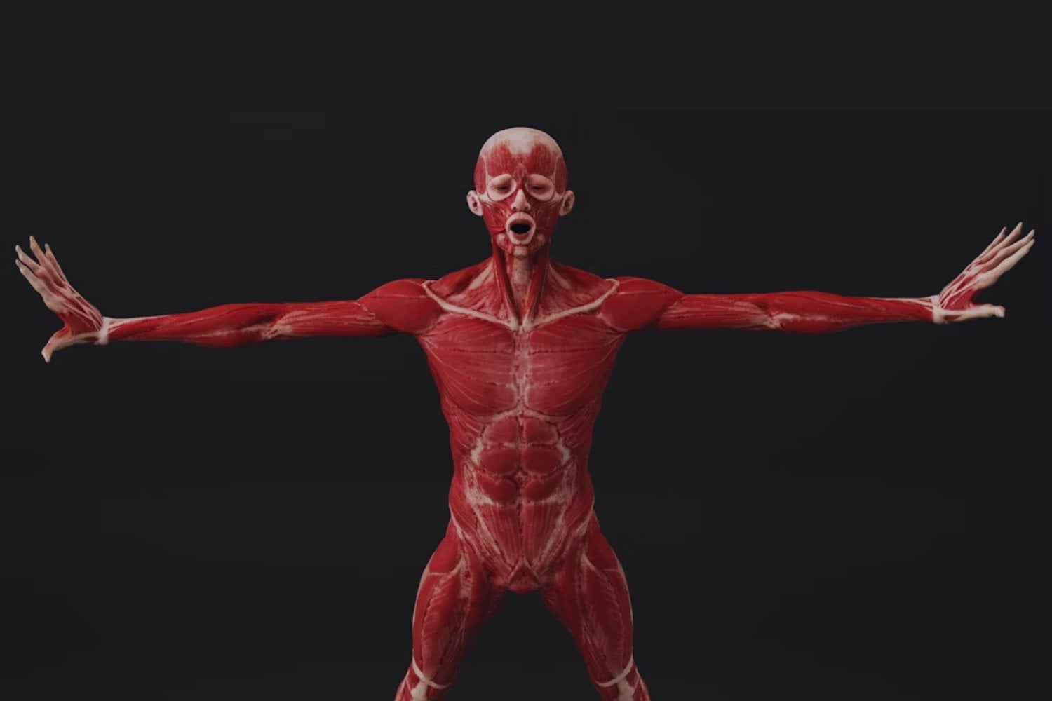 Partes del cuerpo humano que la evolución aún no logra explicar (y por qué eso nos inquieta)