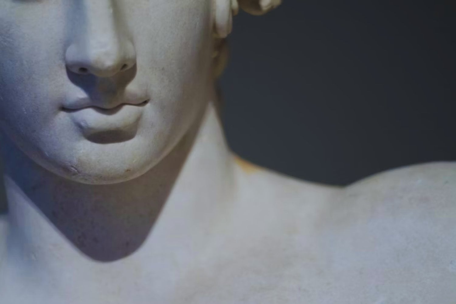 Partes del cuerpo humano que la evolución aún no logra explicar (y por qué eso nos inquieta)