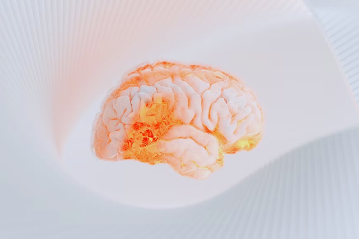 ¿Sabías que un olor o un sabor pueden cambiar tu comportamiento? Aquí está la ciencia detrás de estos cambios