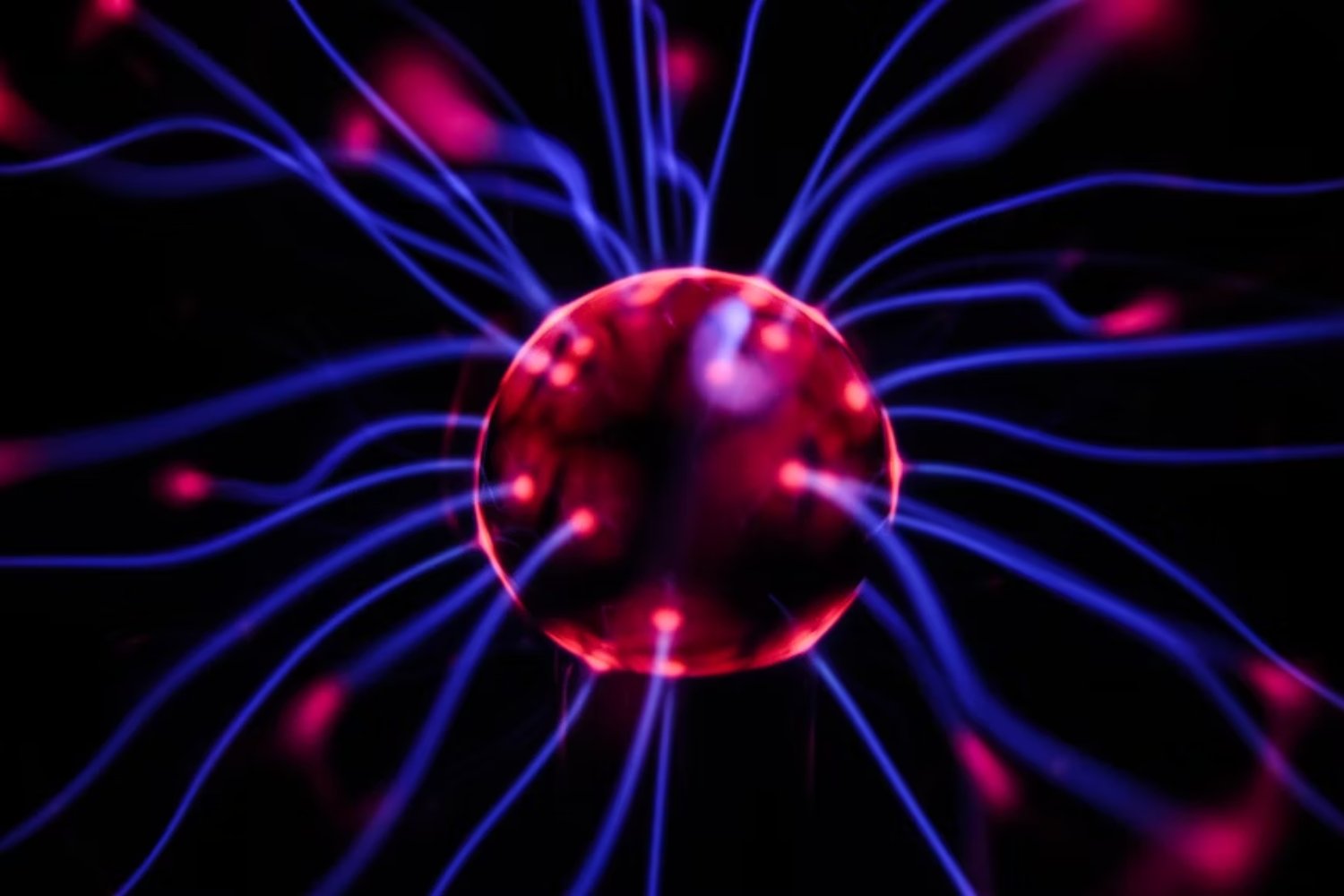 ¿Sabías que un olor o un sabor pueden cambiar tu comportamiento? Aquí está la ciencia detrás de estos cambios