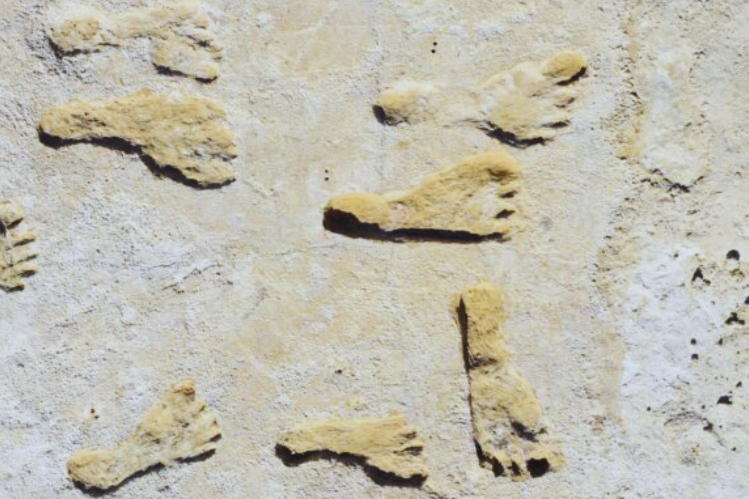 Huellas que reescriben la historia: ¿los humanos llegaron a América mucho antes de lo que pensábamos?