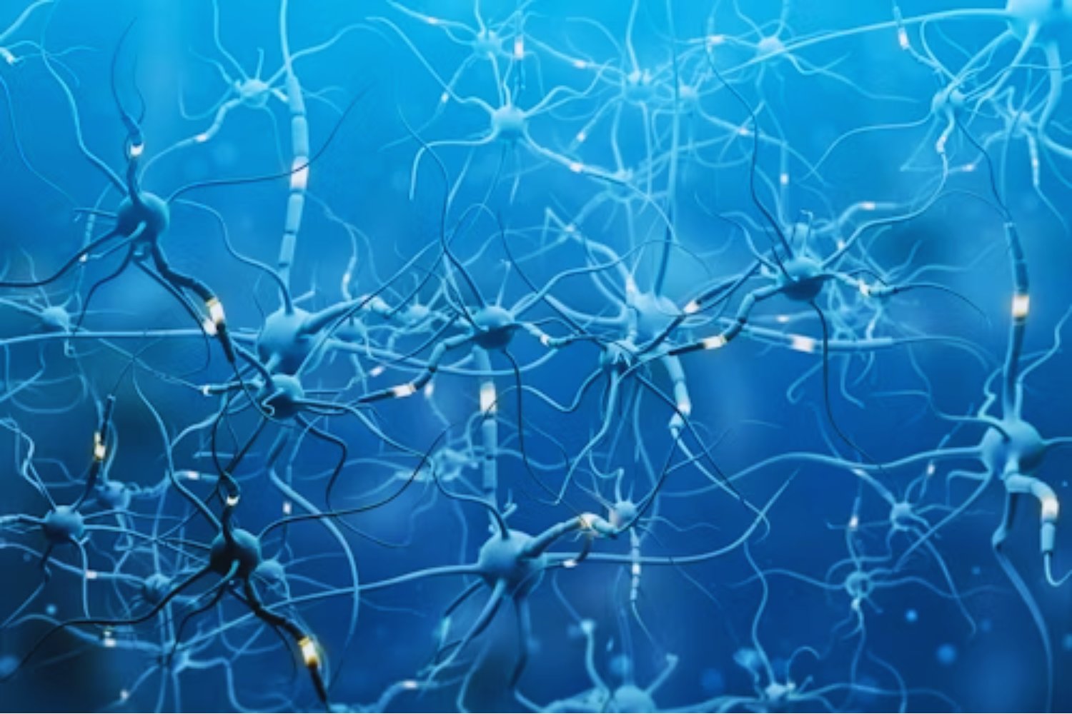 ¿Sabías que un olor o un sabor pueden cambiar tu comportamiento? Aquí está la ciencia detrás de estos cambios