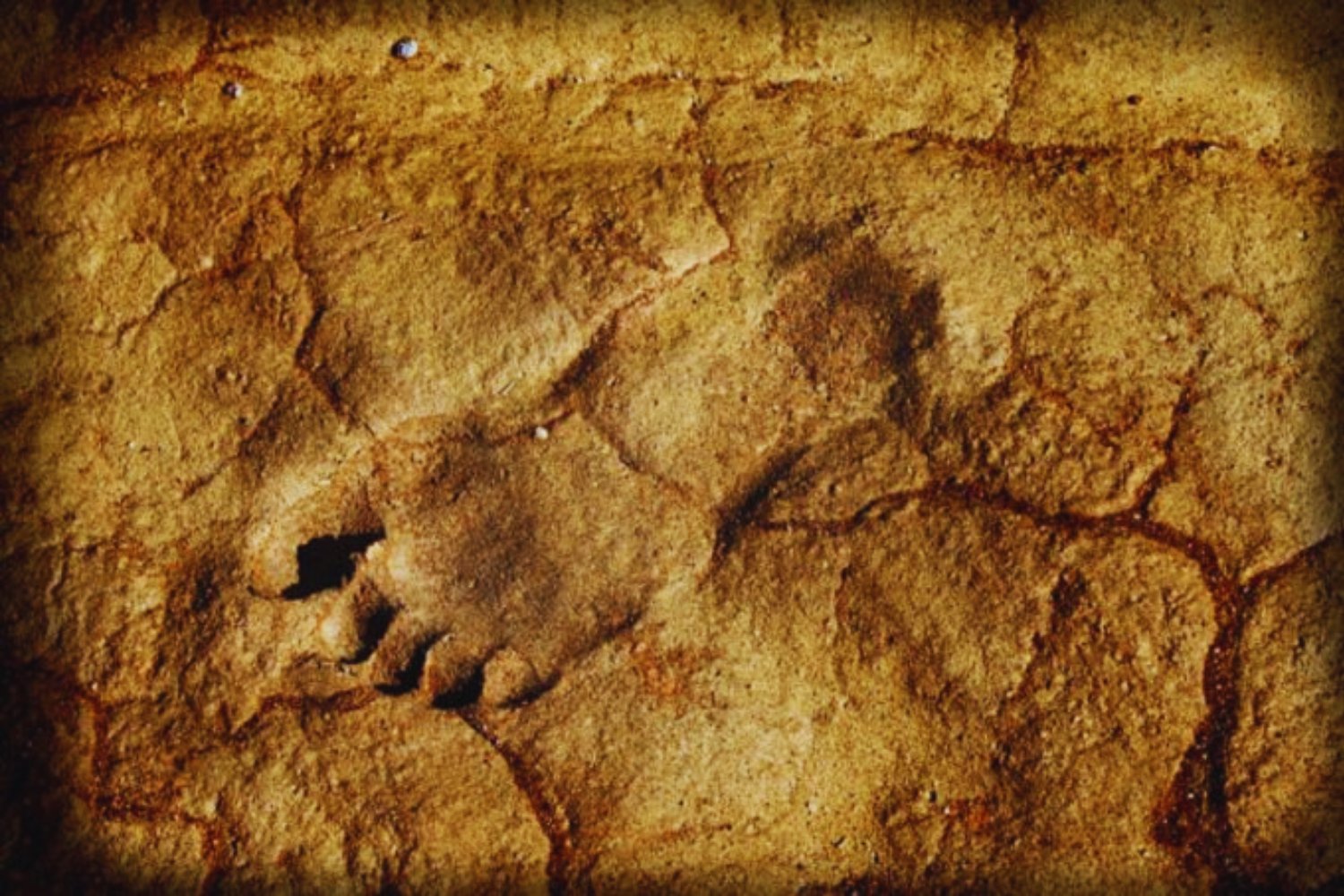 Huellas que reescriben la historia: ¿los humanos llegaron a América mucho antes de lo que pensábamos?