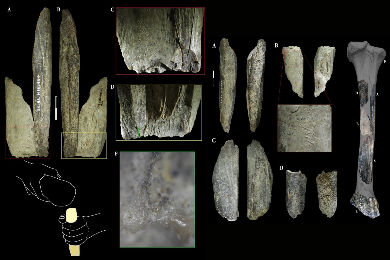 El arma secreta de los neandertales que revela una inteligencia olvidada