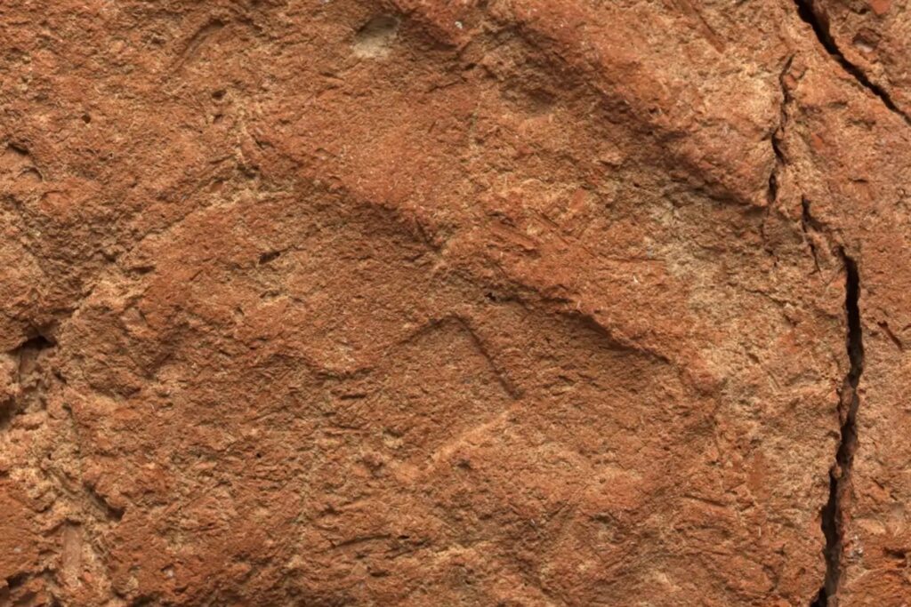 La huella olvidada del Antiguo Egipto que reescribe la historia de sus artesanos