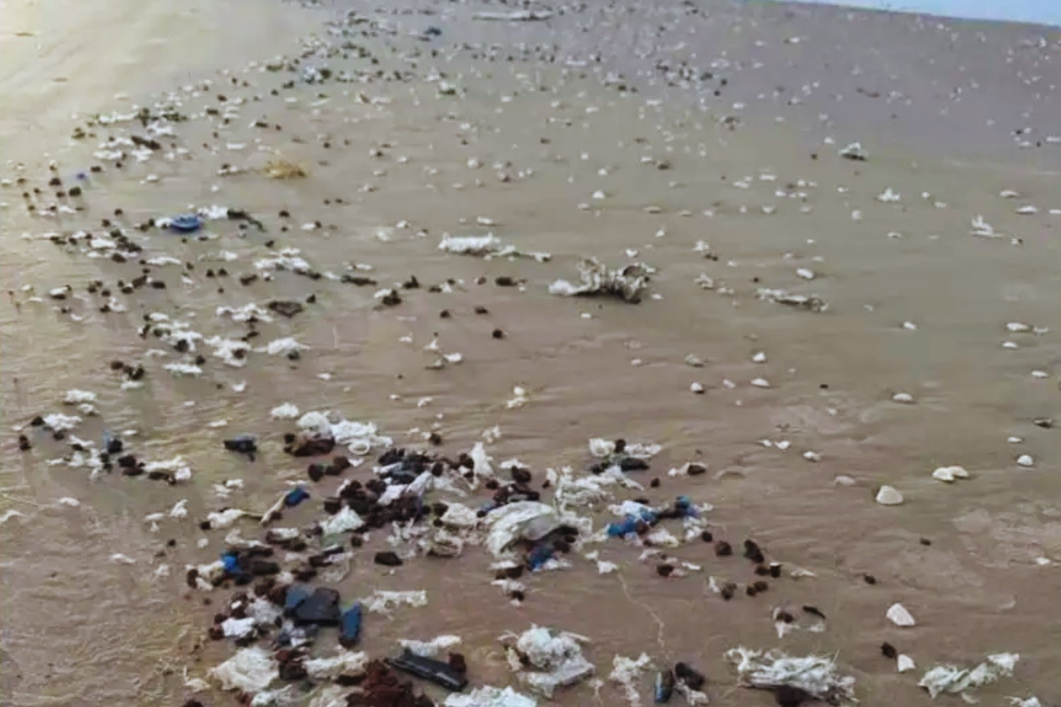 Las huellas de Musk en México: la basura espacial que está llegando a sus playas