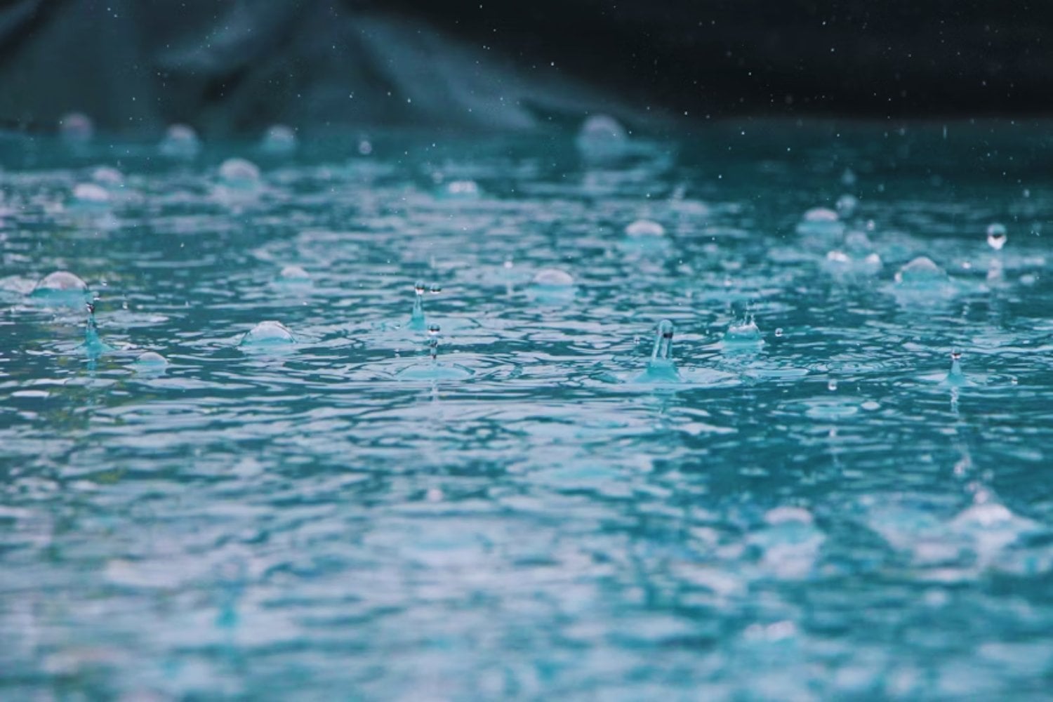 Qué es la lluvia ácida y por qué sus efectos son más graves de lo que crees