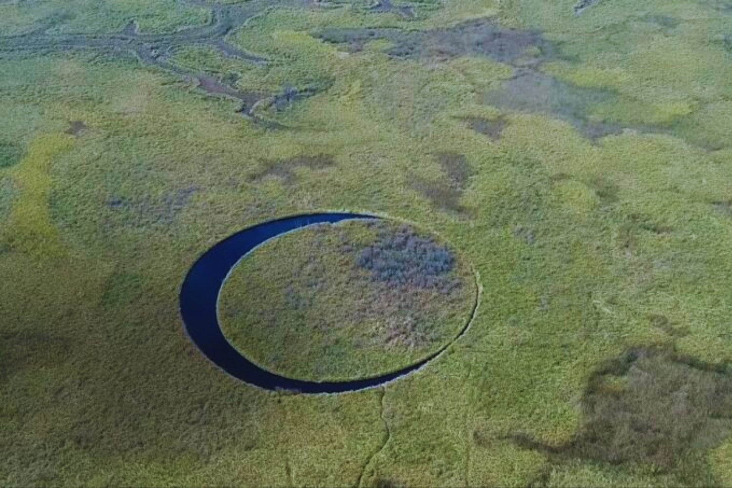 El misterio de ‘El Ojo’: la extraña isla flotante que intriga a la ciencia en el delta del Paraná