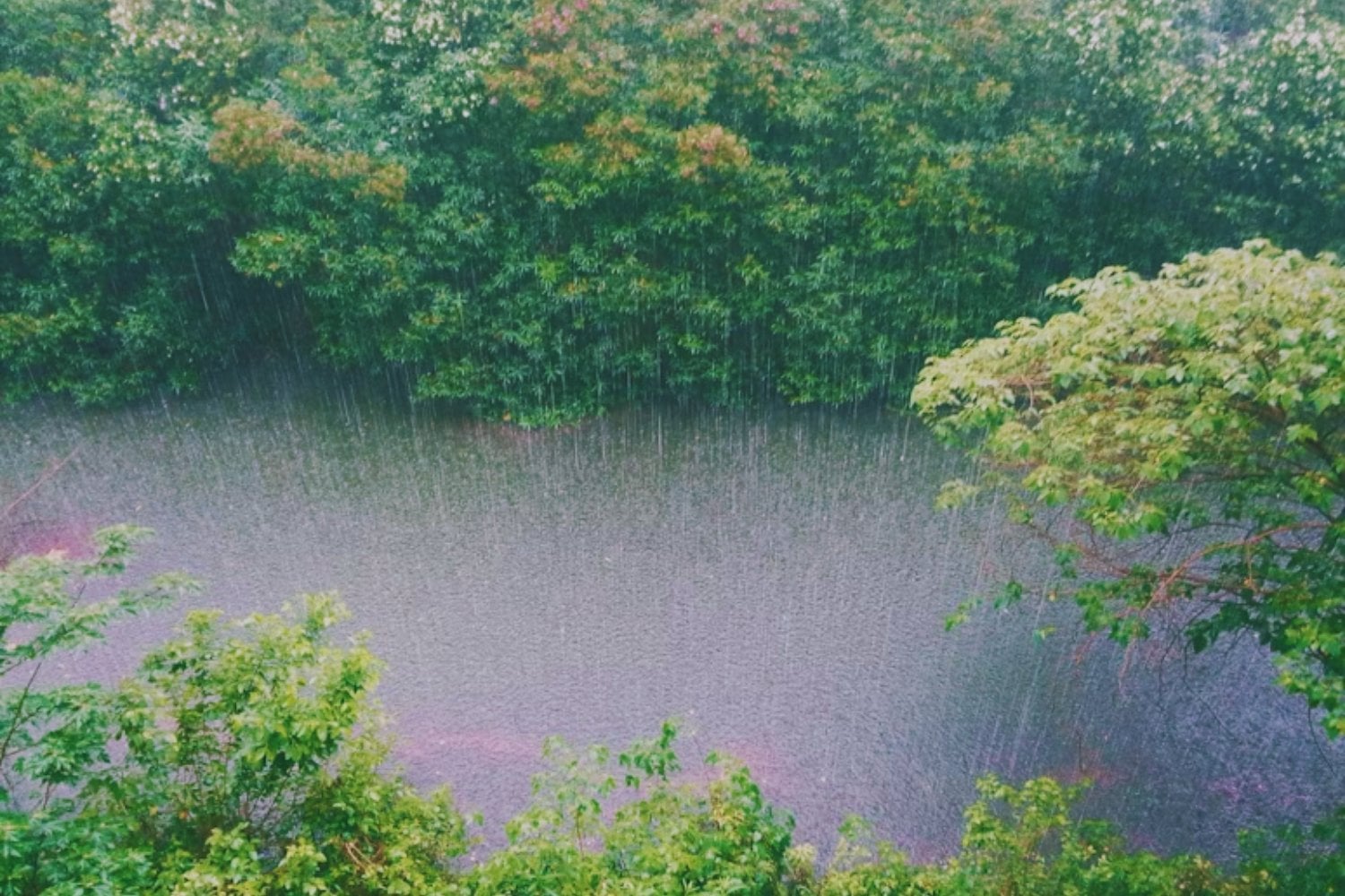 Qué es la lluvia ácida y por qué sus efectos son más graves de lo que crees