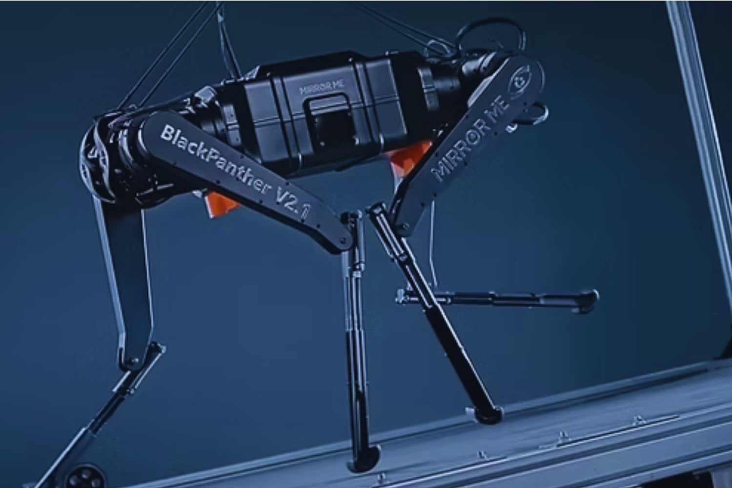 El robot Black Panther II desafía a Boston Dynamics: ¿estamos ante el futuro de los cuadrúpedos?