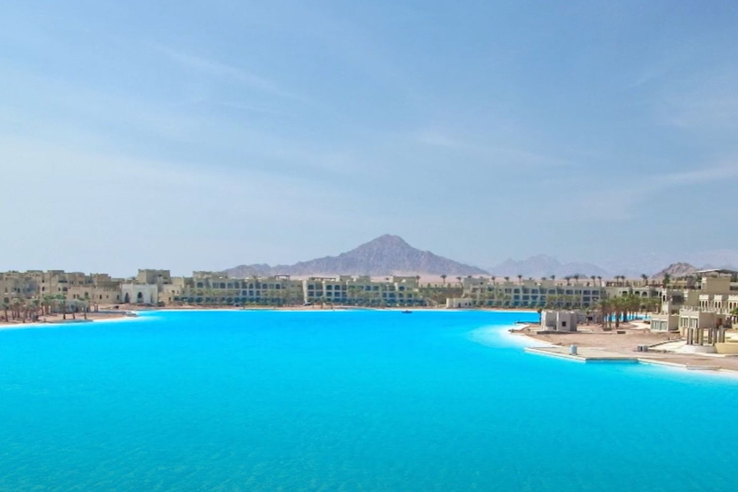 Diseño Sin Título (49)