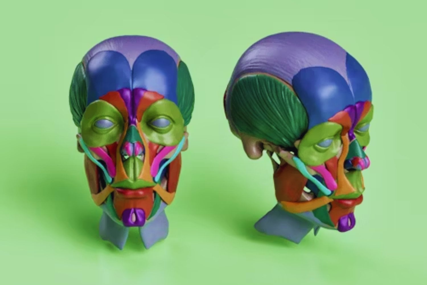Lo que la evolución aún no puede explicar del rostro humano: Desafiando toda lógica evolutiva