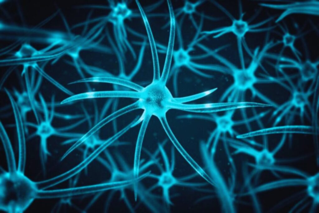 Siete señales de que el cerebro humano está dejando atrás todo lo que creíamos saber
