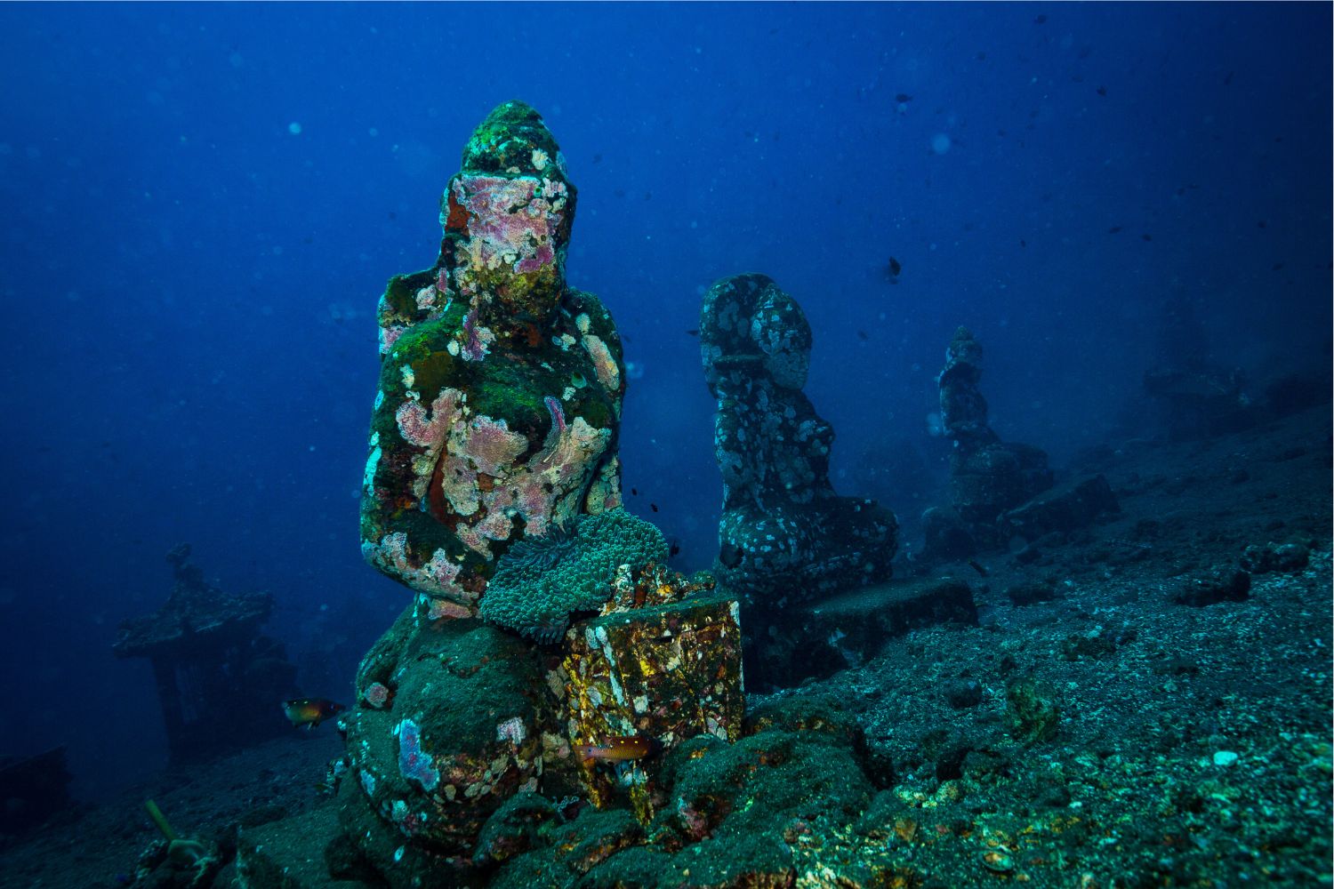 Diseño Sin Título (52)